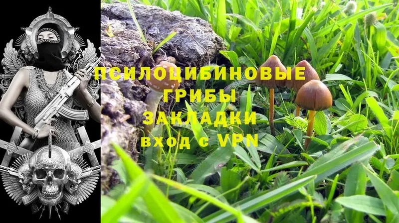 как найти закладки  Арамиль  Галлюциногенные грибы Psilocybe 