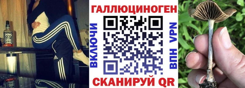 Галлюциногенные грибы мицелий  Арамиль 